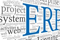 ERP Project Planing