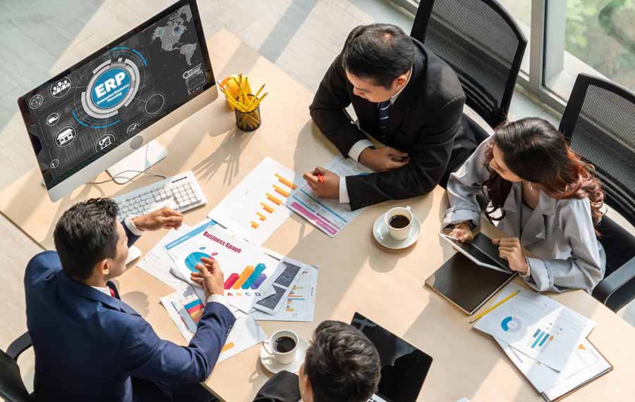 ERP Management Organizational